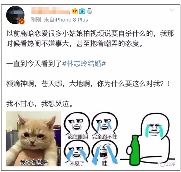 第39张图片