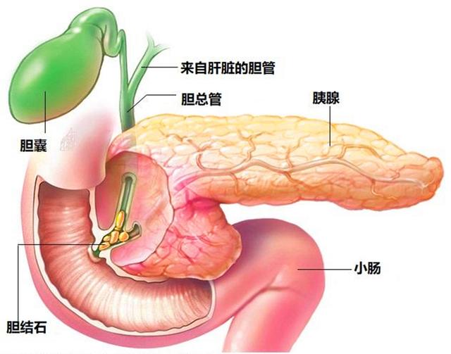 第2张图片